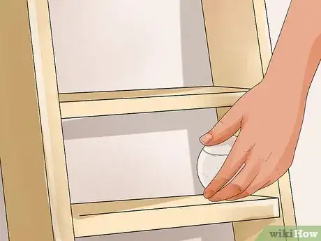 Image titled Teach a Cat to Climb a Ladder Step 9