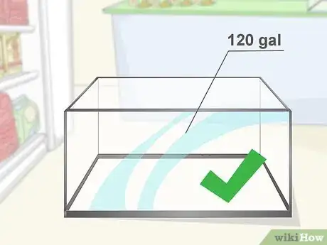 Image titled Start a Saltwater Reef Tank Step 1