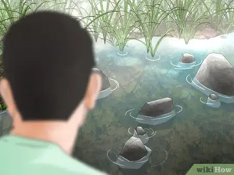 Image titled Watch Insects Step 10