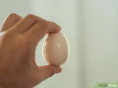 Image titled Choose Eggs Step 8