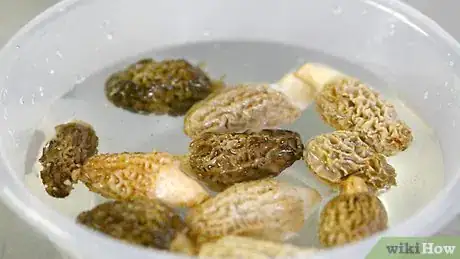 Image titled Prepare Mushrooms Step 6