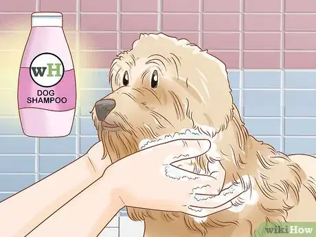 Image titled Groom a Wheaten Terrier Step 14
