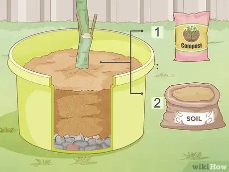 Image titled Plant a Pear Tree Step 18