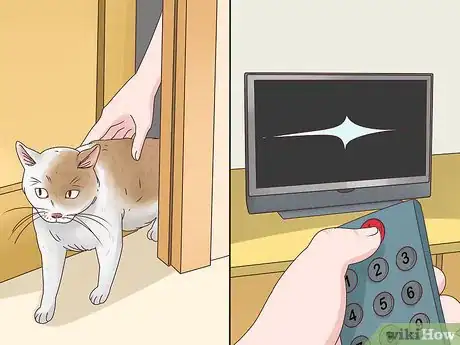 Image titled Countercondition a Cat Step 8