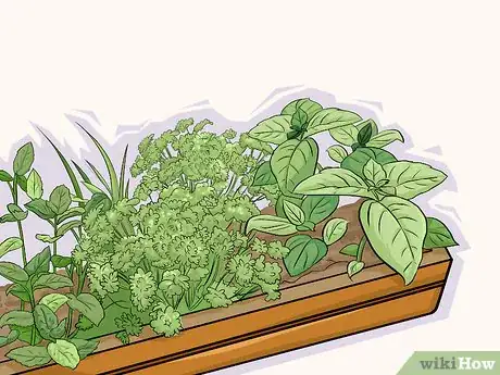 Image titled Choose Vegetables for a Shade Garden Step 5