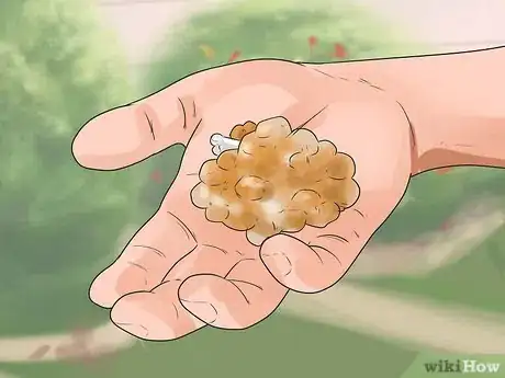 Image titled Train a Boxer Dog Step 4