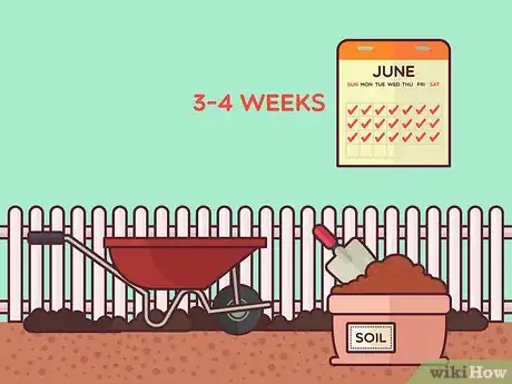 Image titled Plant Cover Crops Step 16