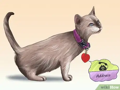 Image titled Protect Your Cat in Summer Step 10