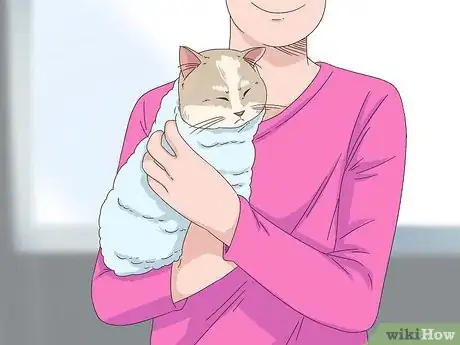 Image titled Diagnose and Treat Frostbite in Cats Step 9