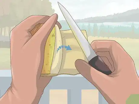 Image titled Cut a Prickly Pear Step 5