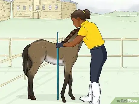 Image titled Prevent OCD in Horses Step 6