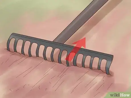 Image titled Grow Flowers from Seed Step 9