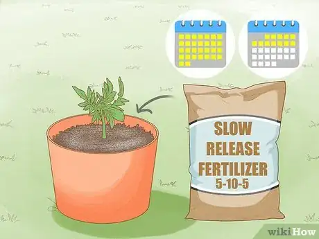 Image titled Make Marigolds Flower Step 5