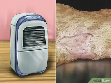 Image titled Treat Seasonal Allergies in Cats Step 4