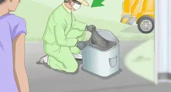 Dispose of Cat Litter