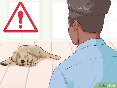 Image titled Check the Health of a New Dog Step 13
