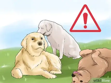 Image titled Protect Pets from Urban Dangers Step 11