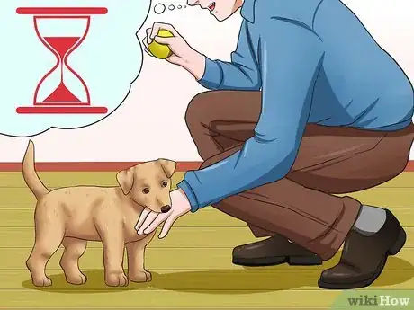 Image titled Get Your Puppy to Stop Biting Step 10