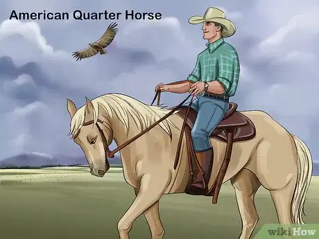 Image titled Choose the Right Breed of Horse for You Step 9
