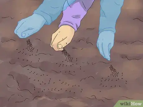 Image titled Plant Landscape Grasses Step 11