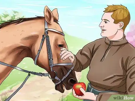 Image titled Get a Head Shy Horse To Trust You Step 1