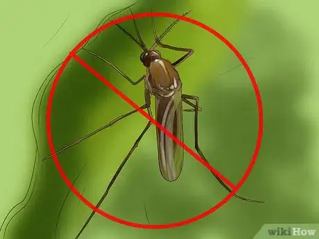 Image titled Use a Backyard Bird Feeder Step 26