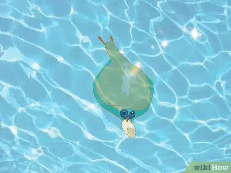 Image titled Set up a Billabong Bugs Kit Step 9