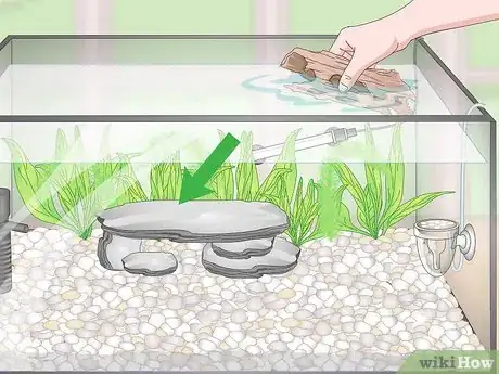 Image titled Set up a Planted Goldfish Aquarium Step 17