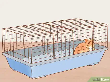 Image titled Introduce a New Hamster to Your Home Step 11