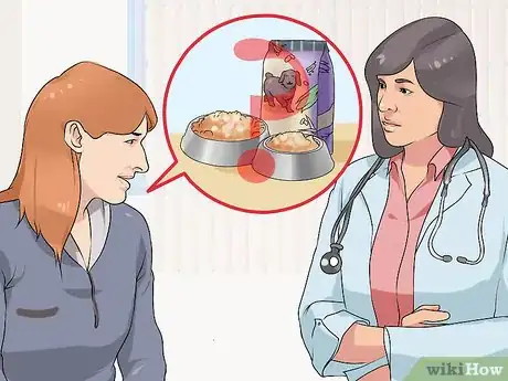 Image titled Have a Successful First Day with a New Dog Step 2