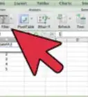 Use Excel 2007