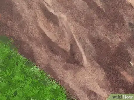 Image titled Plant a Plum Seed Step 12