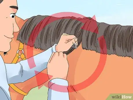 Image titled Pull a Horse's Mane Step 11