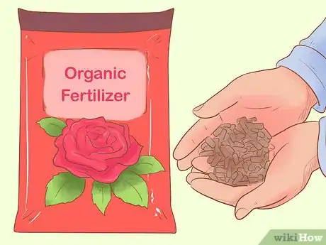 Image titled Grow Roses Organically Step 5