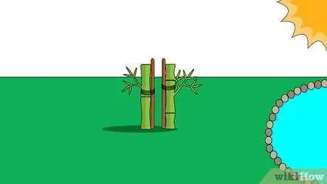 Image titled Plant Moso Bamboo Seeds Step 10