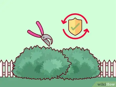 Image titled Do Basic Dormant Season Pruning Step 10