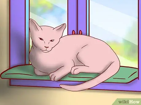 Image titled Create More Space for Your Cat Step 5