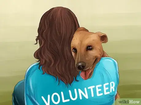 Image titled Help an Abused Dog Step 5