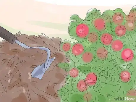 Image titled Prune Drift Roses Step 16