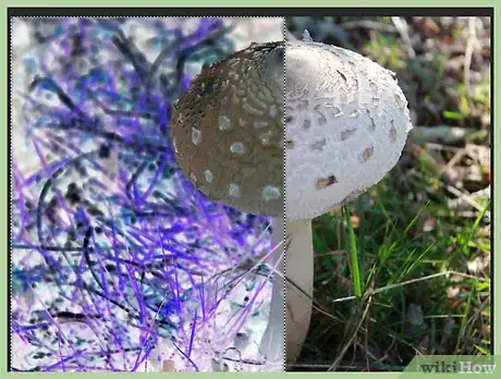 Image titled Invert Colors in Photoshop Step 9