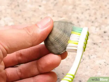 Image titled Shuck Clams Step 2