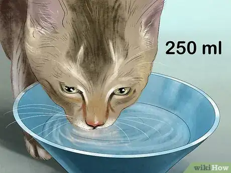 Image titled Stop a Cat from Drinking from Odd Places Step 1