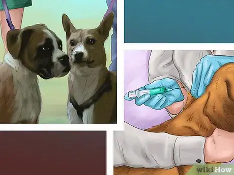 Image titled Make Your Dog Get Along With Other Dogs Step 1