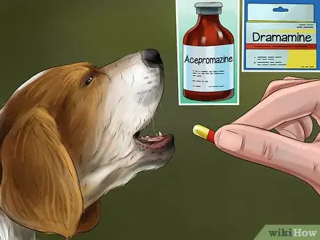 Image titled Prevent Your Dog from Becoming Carsick Step 13