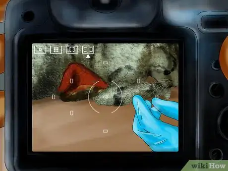 Image titled Photograph Your Cat's Symptoms for the Vet Step 5