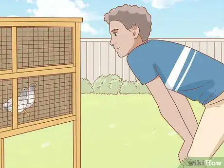 Image titled Breed Silver Quail Step 8