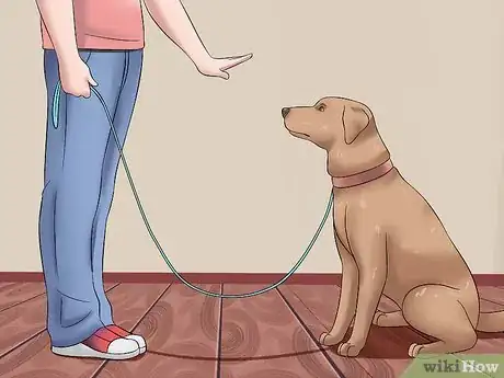 Image titled Tame a Dog Step 21