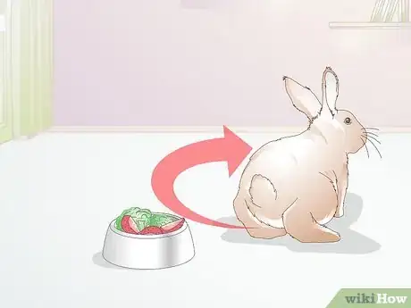 Image titled Treat Dental Problems in Rabbits Step 1