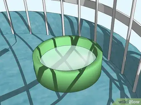 Image titled Look After Pet Birds Step 3