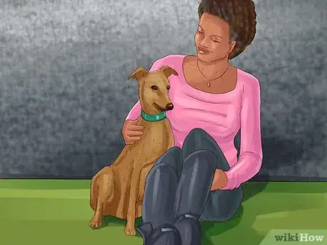 Image titled Get a Dog Out of a Busy Road Step 6